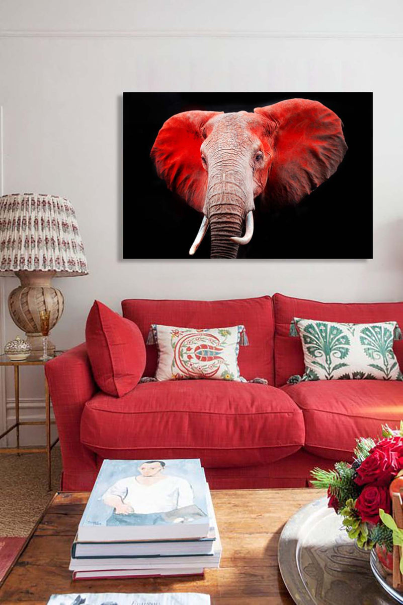 Shop Tempered Glass Art Red Elephant Wall Art Decor Galeria Home Store