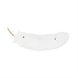 White Resin Bird Feather Wall Decor with Gold Foild Accent Set of 2