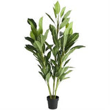 Green Faux Foliage Artificial Tree with Black Plastic Pot, 29" x 29" x 61"