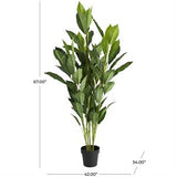 Green Faux Foliage Artificial Tree with Black Plastic Pot, 29" x 29" x 61"