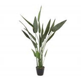 Green Faux Foliage Bird of Paradise Artificial Plant with Realistic Leaves and Black Fluted Pot, 21" x 21" x 61"