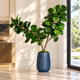 Faux Fiddle Leaf Fig Tree in Blue Planter – 65" Tall