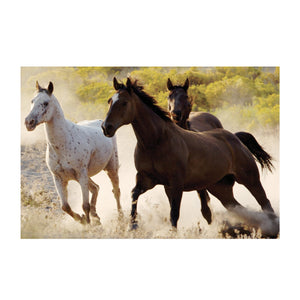 Tempered Glass Art - Horse Herd Run Free On Desert Dust Wall Art Decor