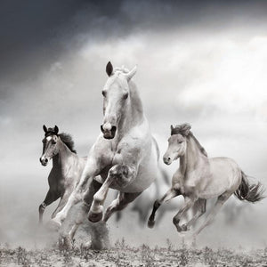 Tempered Glass Art - Running White Horses Wall Art Decor