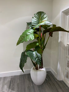 Alocasia Indoor Artificial Plant - Floral & Greenery