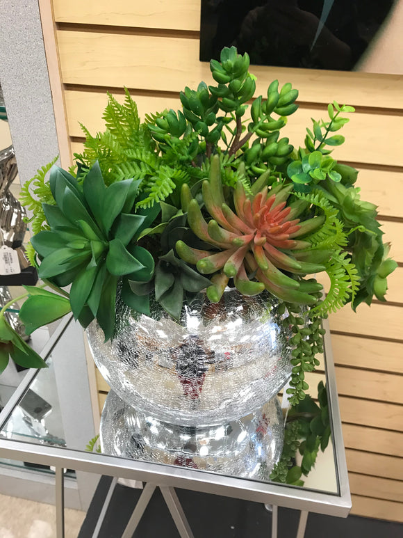 succulents clear vase Shop Mirror Vase with Mixed Succulents Flora& Greenery