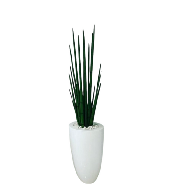 Shop Snake Indoor Plant Floral & Greenery